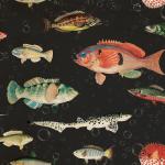 Fish Wallpaper Murals